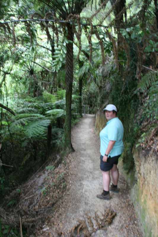 Nieuw-Zeeland 2011 - 1036